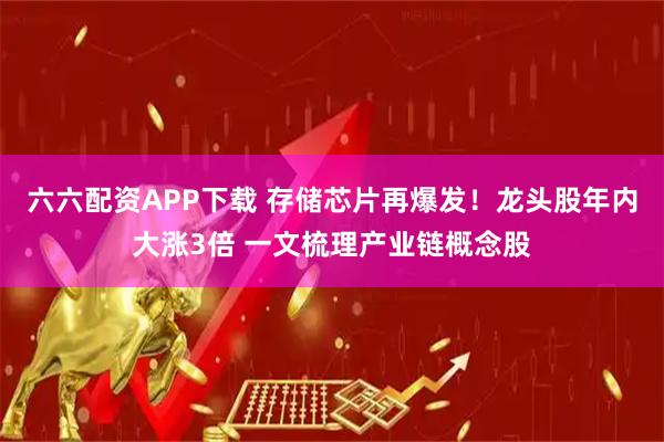 六六配资APP下载 存储芯片再爆发！龙头股年内大涨3倍 一文梳理产业链概念股