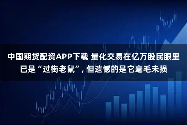中国期货配资APP下载 量化交易在亿万股民眼里已是“过街老鼠”, 但遗憾的是它毫毛未损
